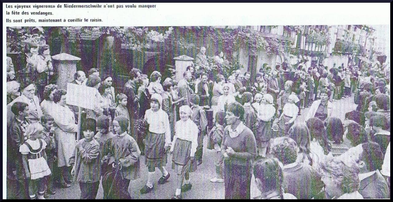 cort1-3.jpg