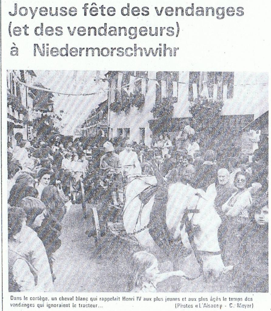 f.jpg